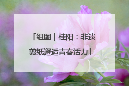 组图｜桂阳：非遗剪纸邂逅青春活力